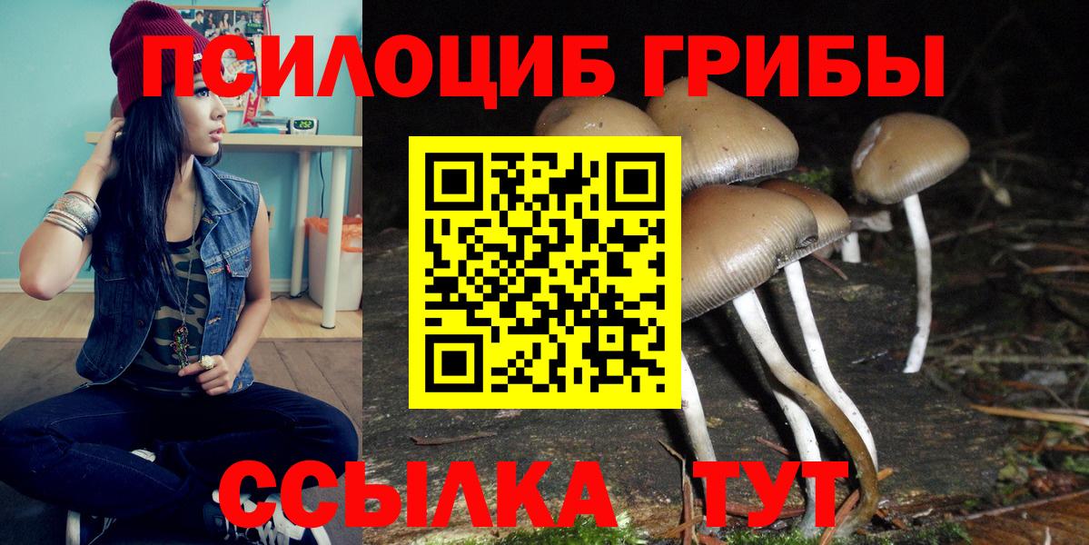 Галлюциногенные грибы Magic Shrooms Алейск