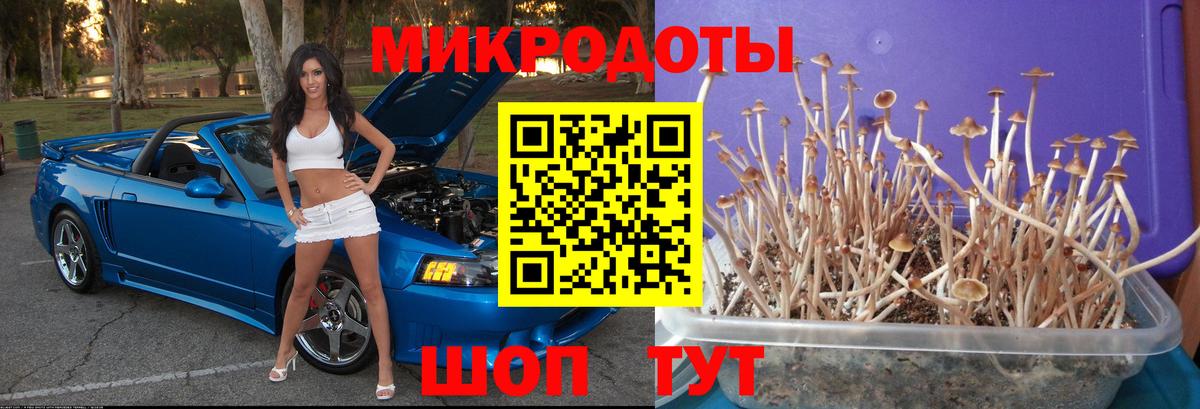 Алейск  Псилоцибиновые грибы ЛСД  Вход с VPN 